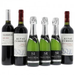 COFFRET MIXTE - BOX MIXTE CHAMPAGNE + VINS ARGENTINS - Planète Drinks