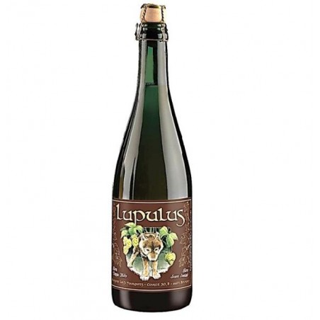 biere - LUPULUS BRUNE 0.75L - Planète Drinks