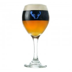 VERRES A BIERE - VERRE LUPULUS HOPERA 25CL - Planète Drinks