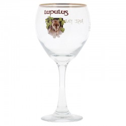 VERRES A BIERE - VERRE LUPULUS 33CL - Planète Drinks
