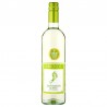 VIN - BAREFOOT SAUVIGNON BLANC CALIFORNIE 75CL - Planète Drinks